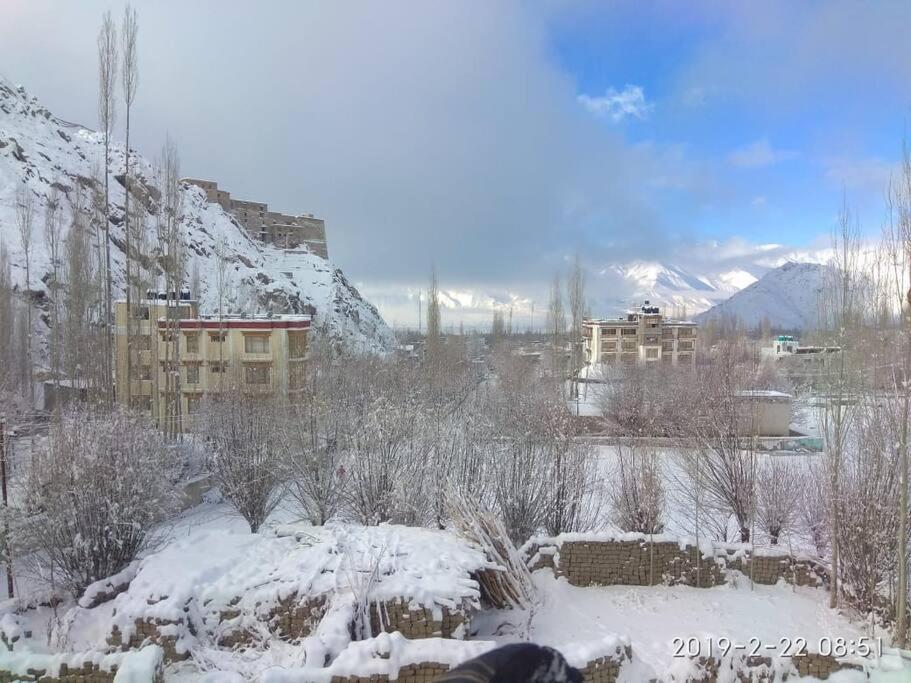 Готель Snow Lion Ladakh Лех Екстер'єр фото